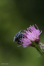 20090913_315.jpg