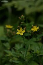 20090913_354.jpg