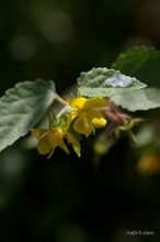 20090913_396.jpg
