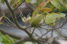 20090914_15614.jpg