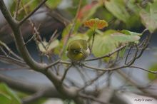 20090914_15615.jpg