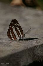 20090919_022.jpg