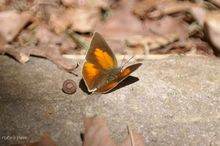 20090919_032.jpg