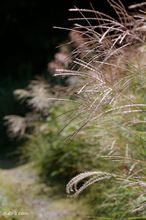 20090919_163.jpg