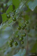 20090919_171.jpg