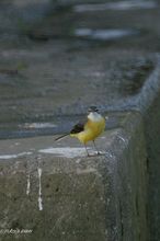 20090926_077.jpg