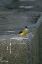 20090926_078.jpg