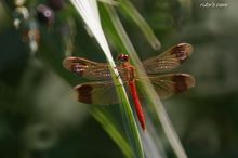 20090926_169.jpg
