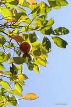 20091004_014.jpg
