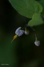 20091004_045.jpg