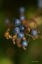20091004_049.jpg