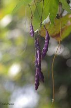 20091010_103.jpg