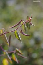 20091010_123.jpg