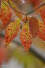 20091013_11694.jpg