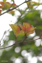 20091013_11702.jpg