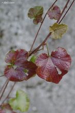 20091018_083.jpg