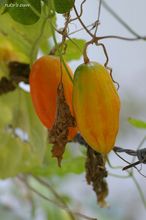 20091018_109.jpg