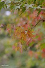 20091025_018.jpg