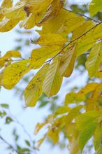 20091031_052.jpg