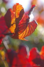 20091031_059.jpg
