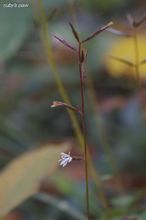 20091031_081.jpg