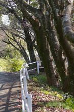 20091119_080.jpg