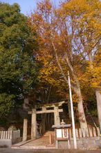 20091128_493.jpg