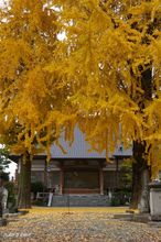 20091203_16714.jpg
