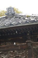 20091203_16750.jpg