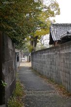 20091203_16755.jpg
