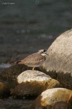 20091226_143.jpg