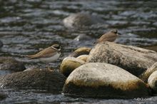 20091226_161.jpg