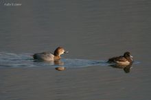 20091227_036.jpg