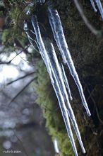 20100109_081.jpg