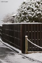 20100113_17112.jpg