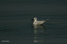 20100116_074.jpg