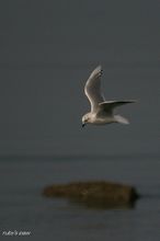 20100116_079.jpg