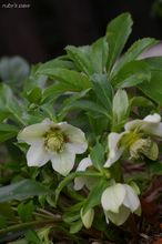 20100123_12252.jpg