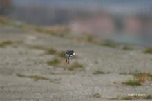20100130_102.jpg