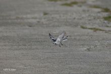 20100130_103.jpg