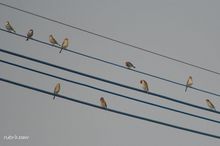 20100130_108.jpg