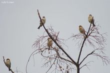 20100130_204.jpg