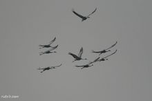 20100130_333.jpg