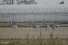 20100130_342.jpg