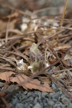 20100205_12483.jpg