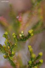 20100205_12497.jpg