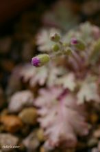 20100209_12531.jpg