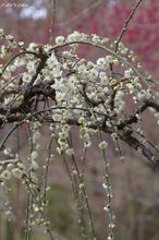 20100213_032.jpg