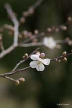 20100213_045.jpg