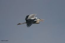 20100213_102.jpg